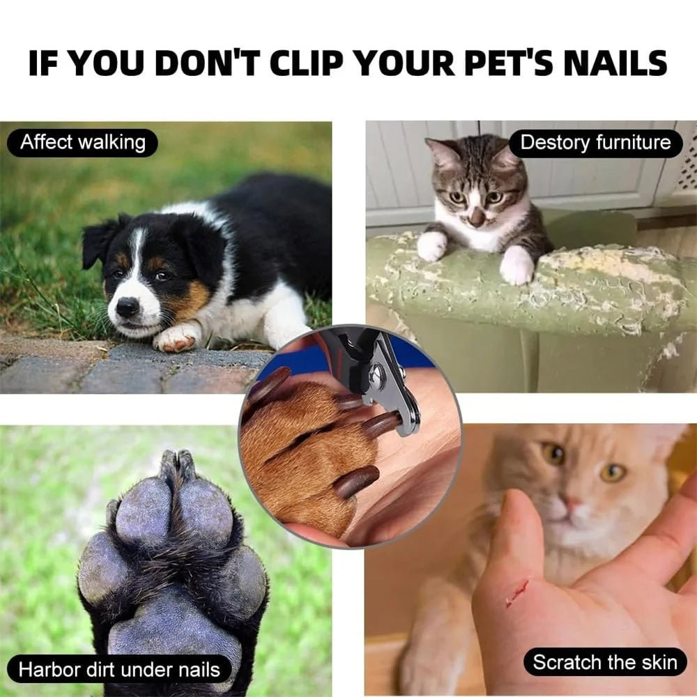 Cortauñas Para Perros y Gatos, Tijeras De Aseo De Acero Inoxidable Con Limas, Herramientas De Limpieza Profesionales Para Recort
